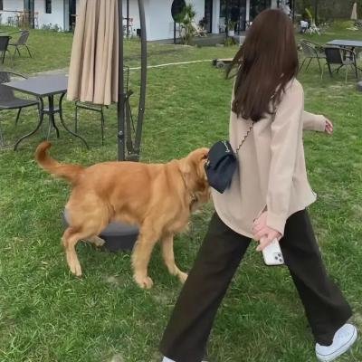 异形活人实验